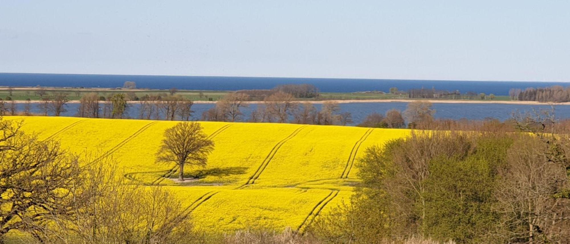 Idyllisches-Blockbohlenhaus-Mit-Eigenem-Garten-Und-Sauna-Zum-Wohlfuehlen Martensrade Buitenkant foto