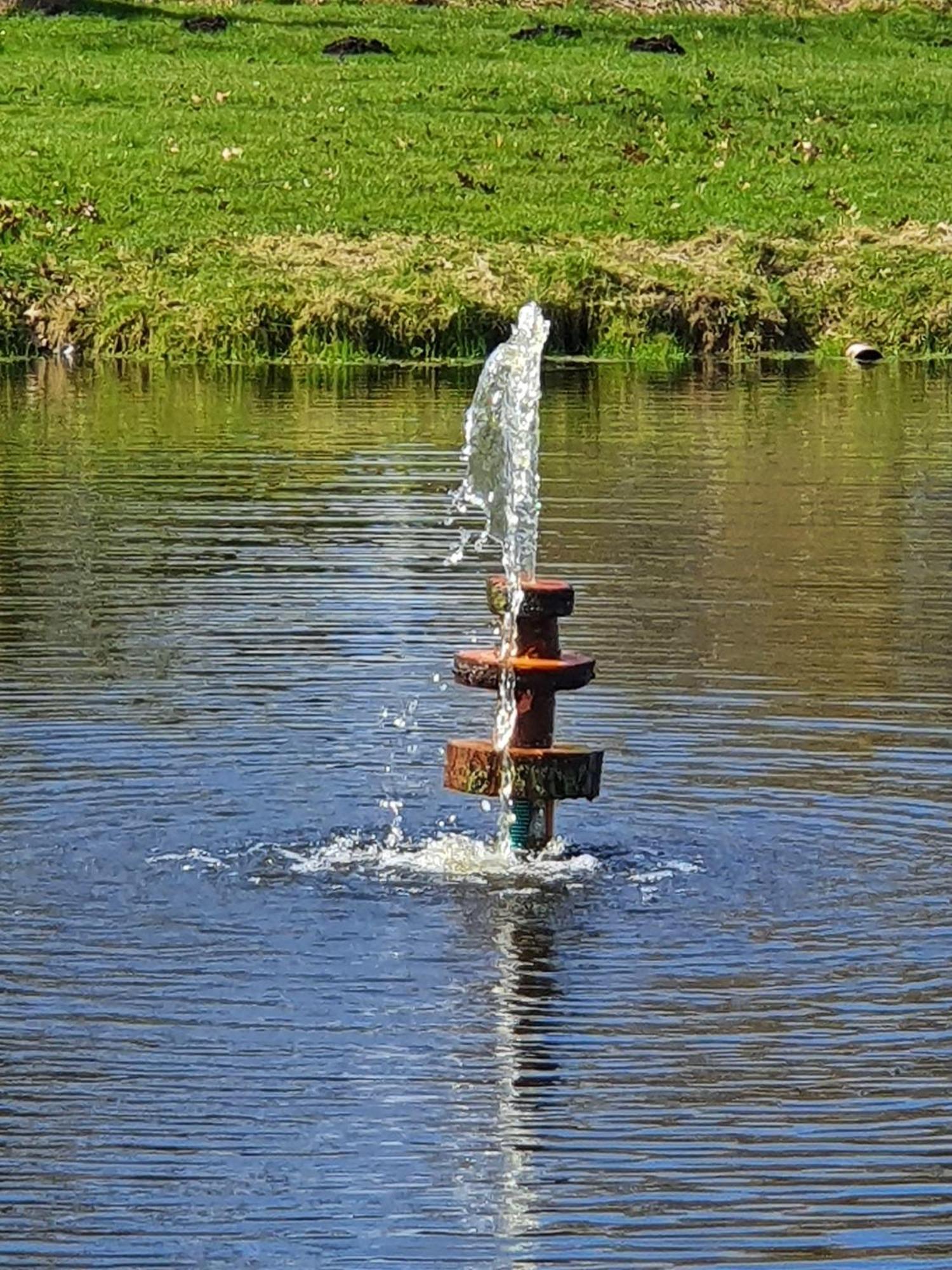 Idyllisches-Blockbohlenhaus-Mit-Eigenem-Garten-Und-Sauna-Zum-Wohlfuehlen Martensrade Buitenkant foto