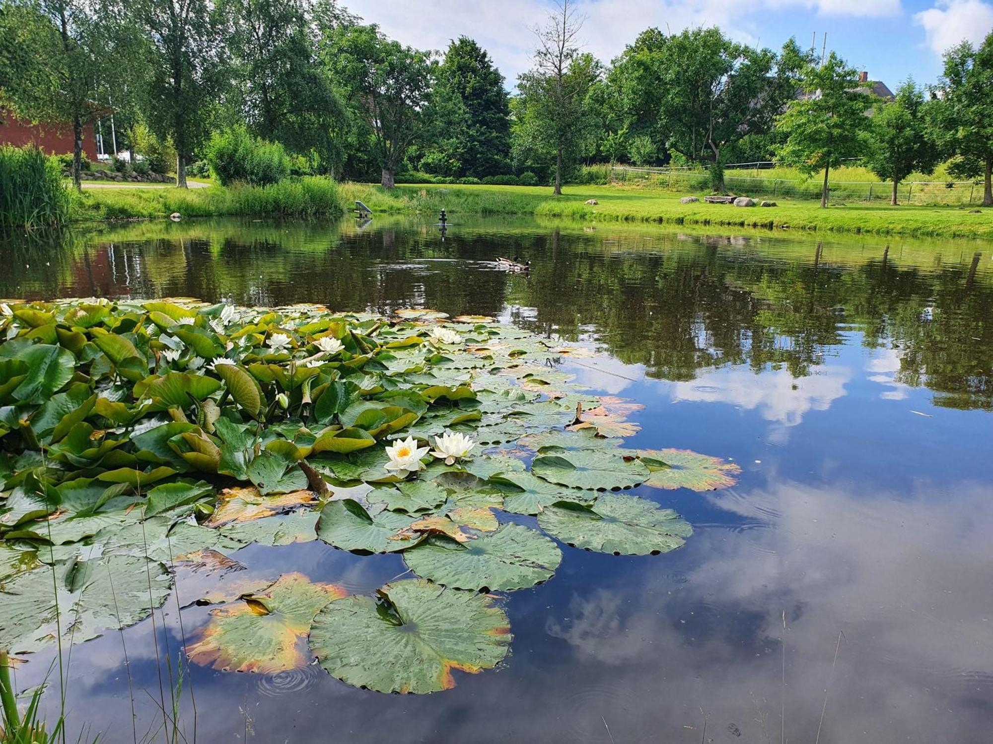 Idyllisches-Blockbohlenhaus-Mit-Eigenem-Garten-Und-Sauna-Zum-Wohlfuehlen Martensrade Buitenkant foto