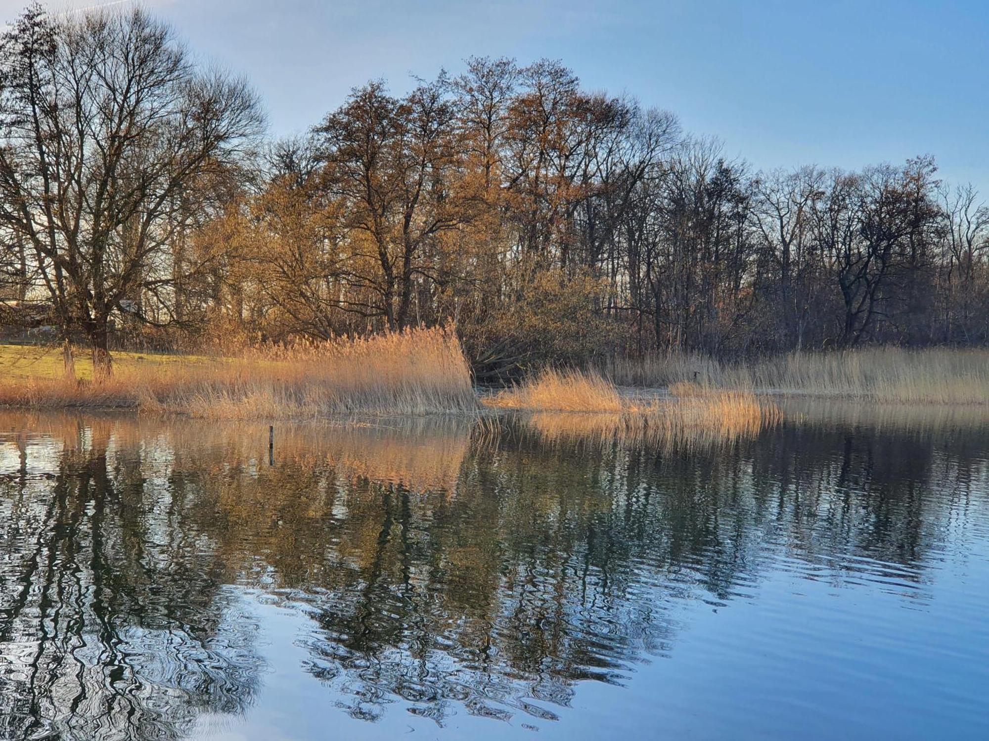 Idyllisches-Blockbohlenhaus-Mit-Eigenem-Garten-Und-Sauna-Zum-Wohlfuehlen Martensrade Buitenkant foto
